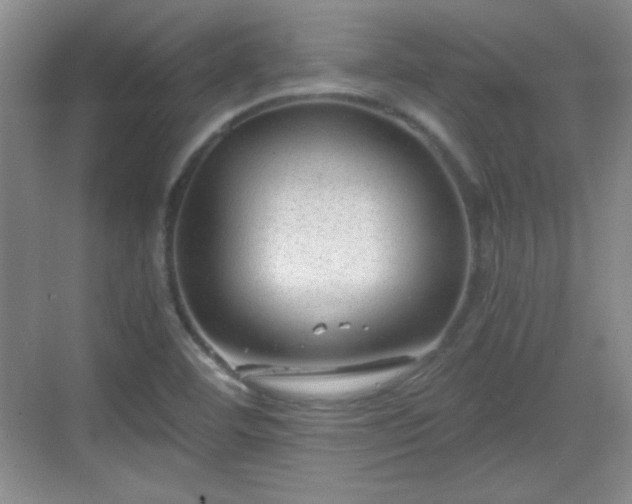 X0000068811460200605081107