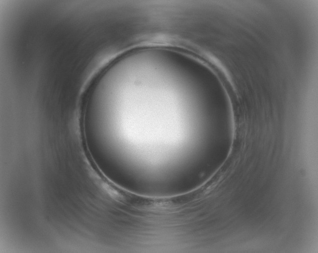 X0000068811464200605081107