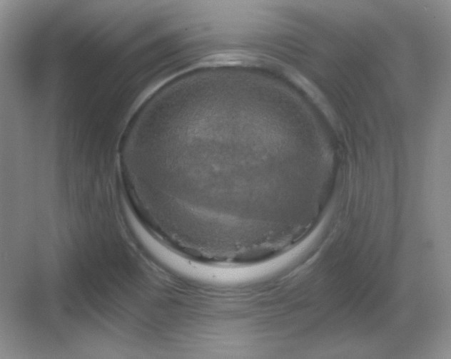 X0000068811465200605081107