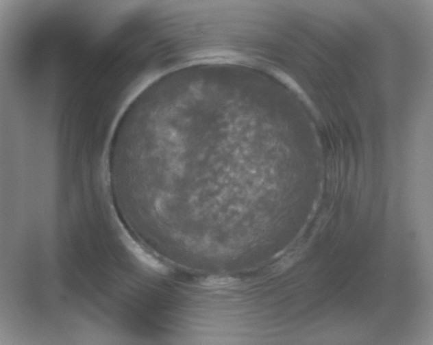 X0000068811466200605081107