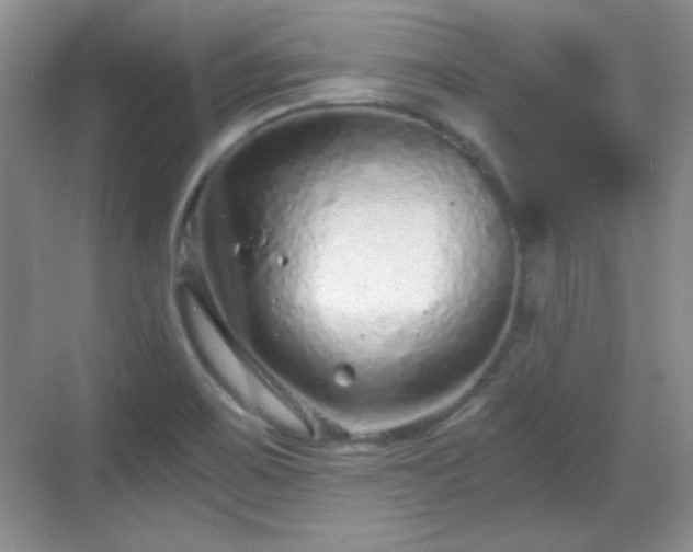 X0000068811467200605081107