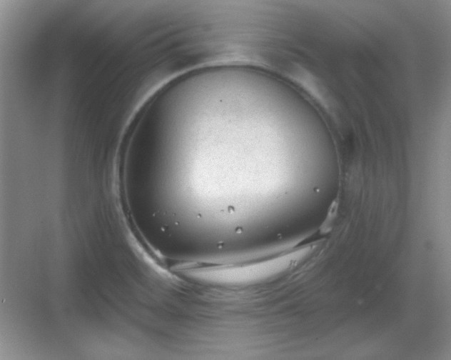 X0000068811468200605081107