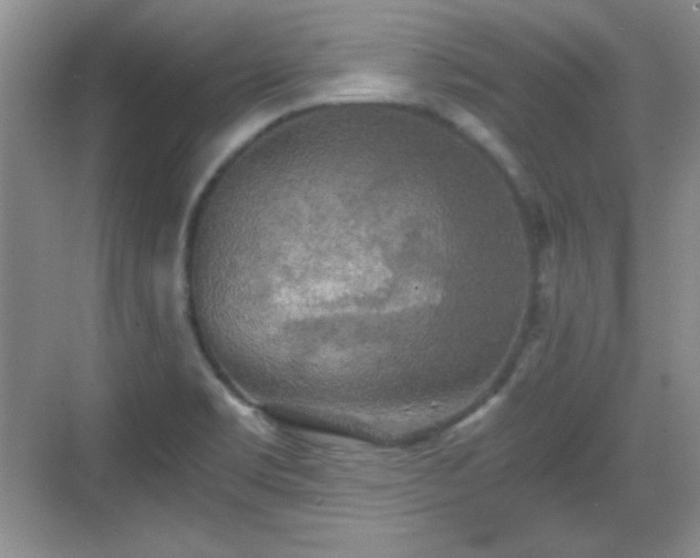 X0000068811469200605081107