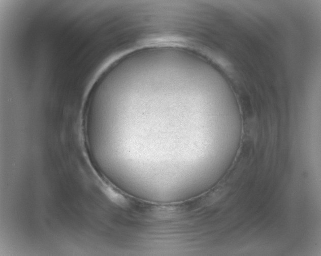 X0000068811470200605081107