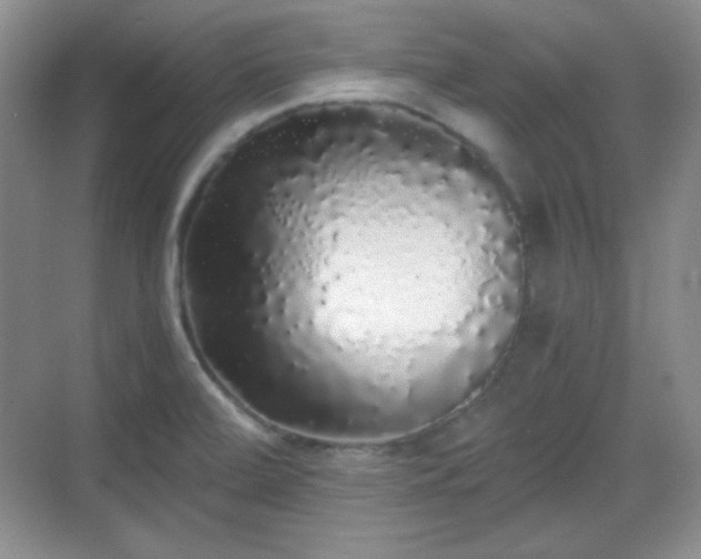 X0000068811472200605081107