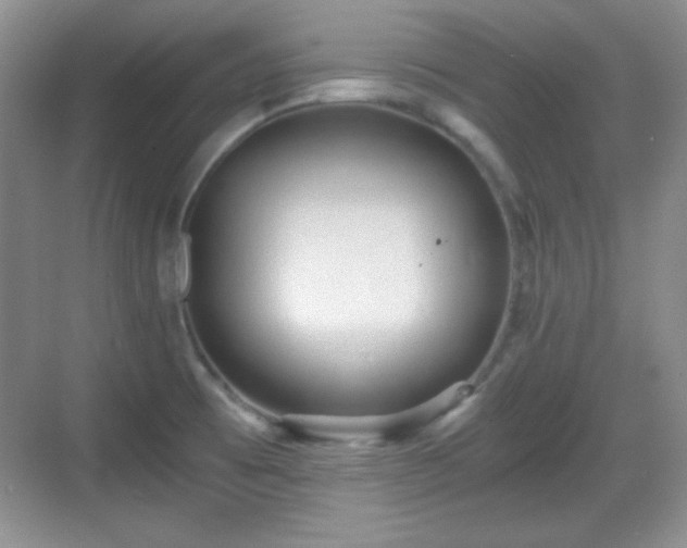 X0000068811473200605081107