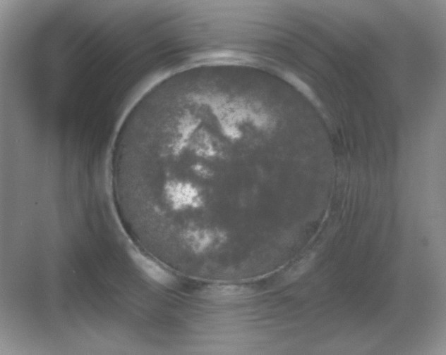 X0000068811474200605081107