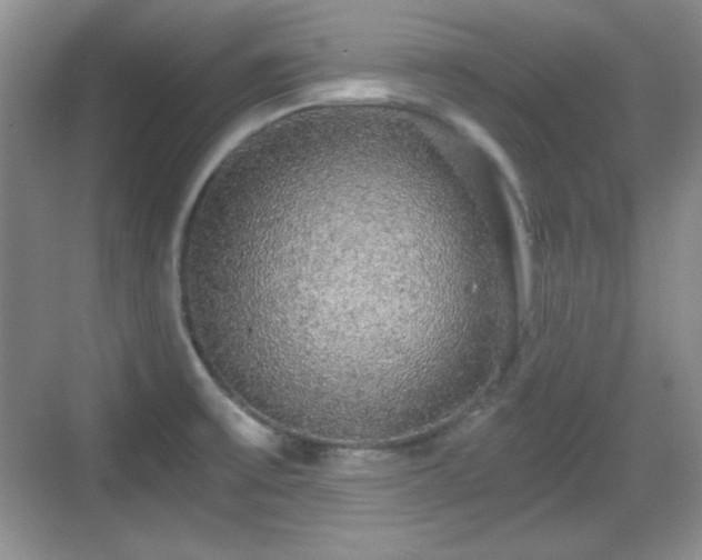 X0000068811475200605081107