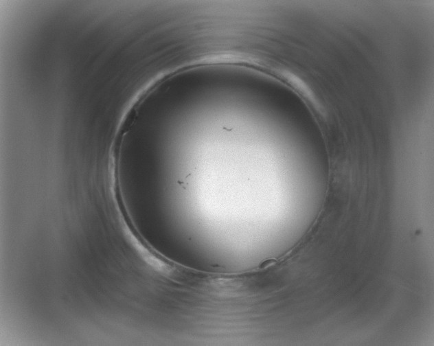 X0000068811476200605081107