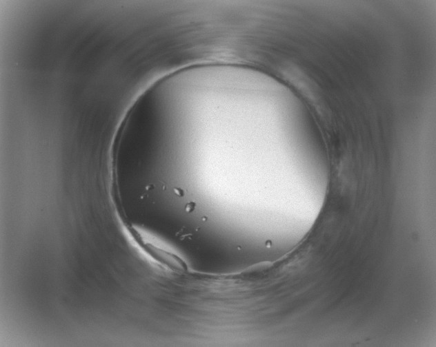 X0000068811479200605081106