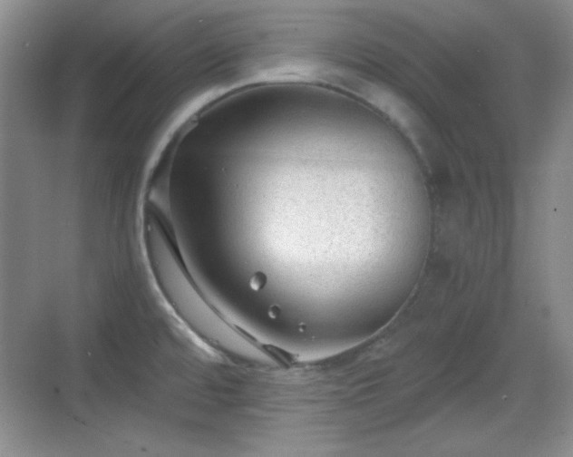 X0000068811480200605081106