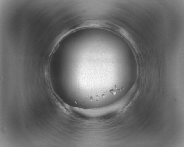 X0000068811481200605081106