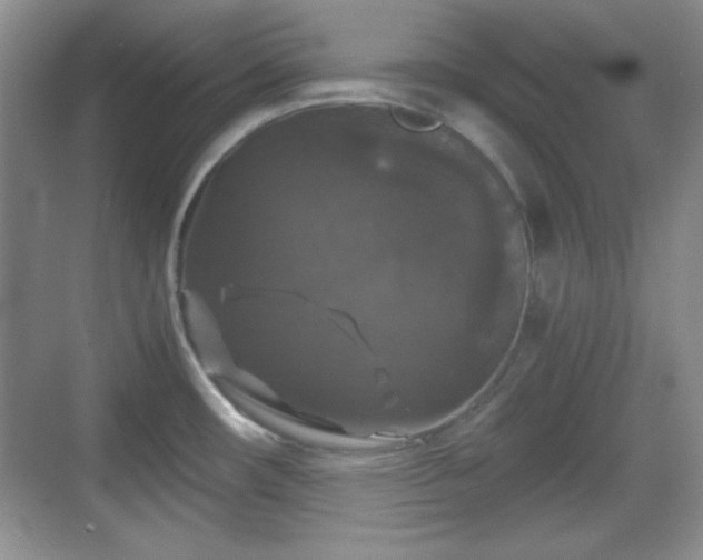 X0000068811482200605081106