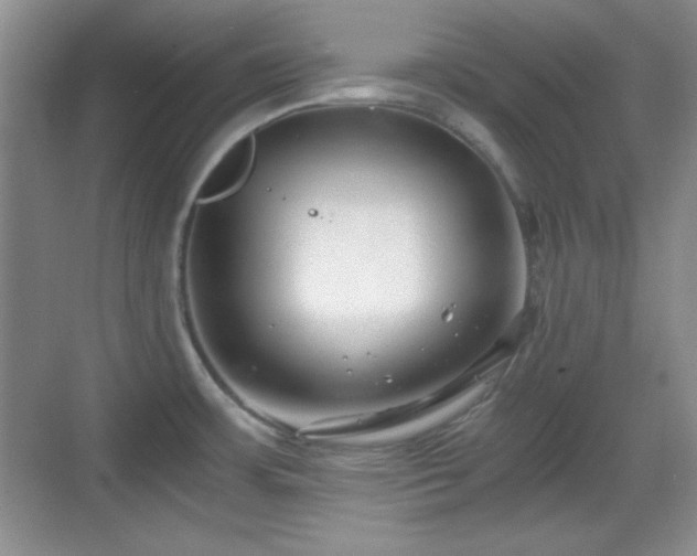 X0000068811483200605081106