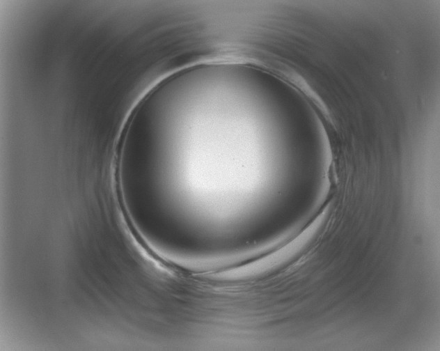 X0000068811484200605081106