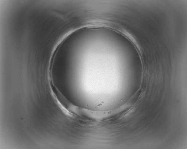 X0000068811485200605081106