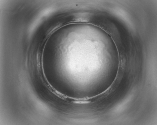 X0000068811487200605081106