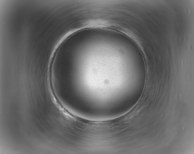 X0000068811488200605081106