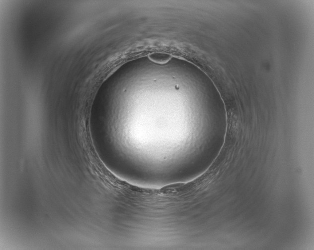 X0000068811489200605081106