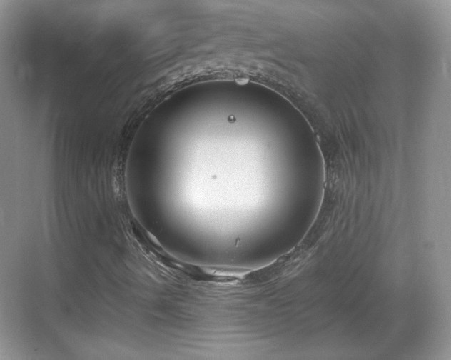 X0000068811490200605081106