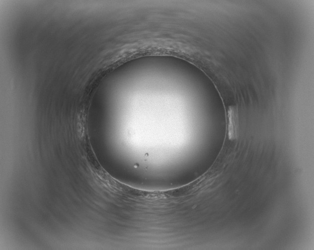 X0000068811491200605081106