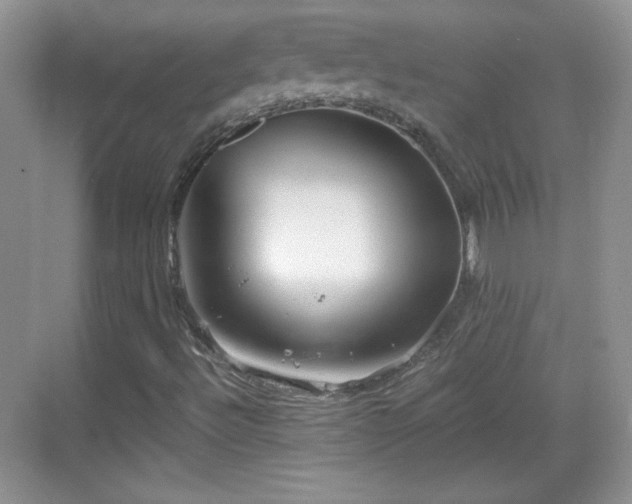 X0000068811492200605081106