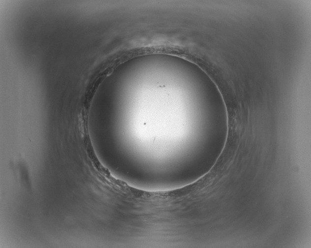 X0000068811493200605081106