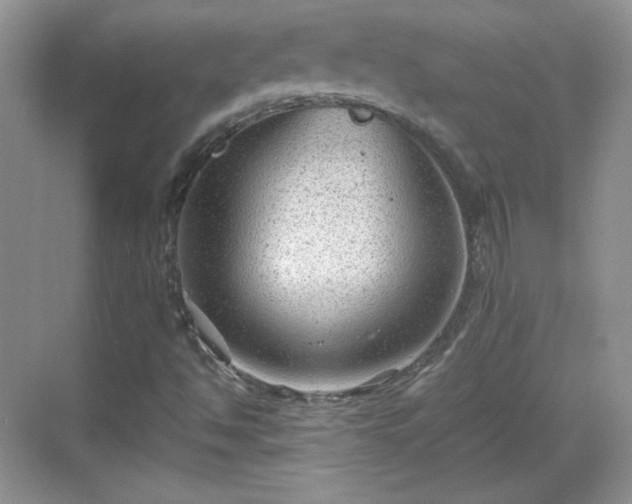 X0000068811494200605081106