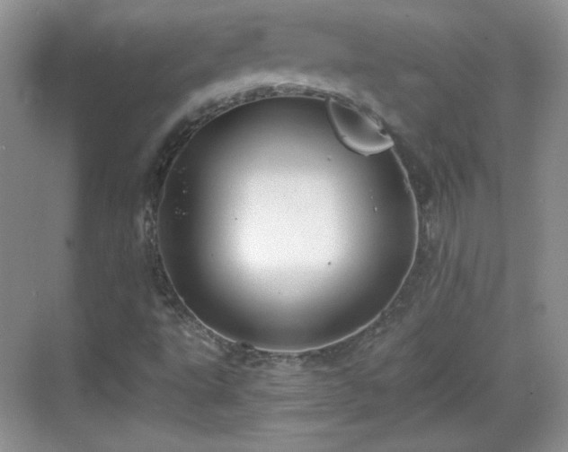 X0000068811495200605081106