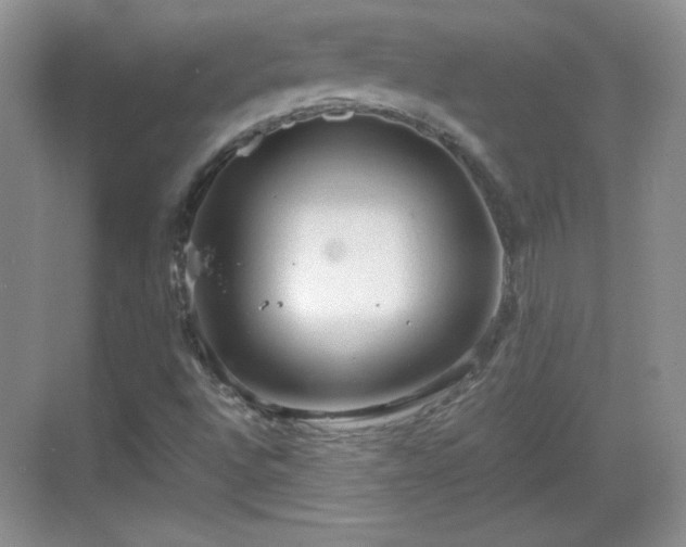 X0000068811496200605081106