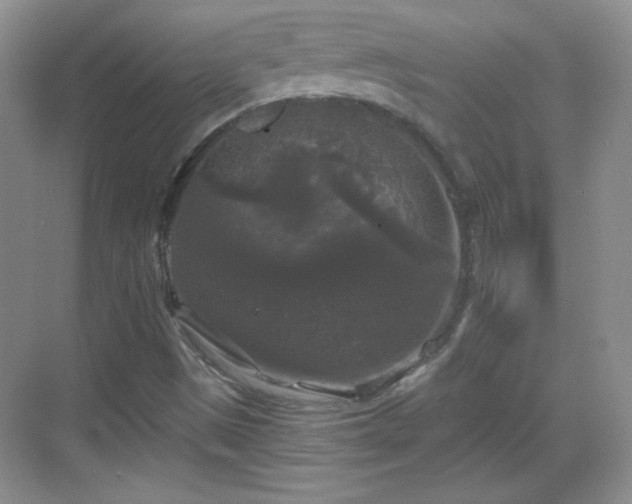 X0000068811497200605081106