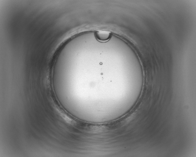 X0000068811498200605081106