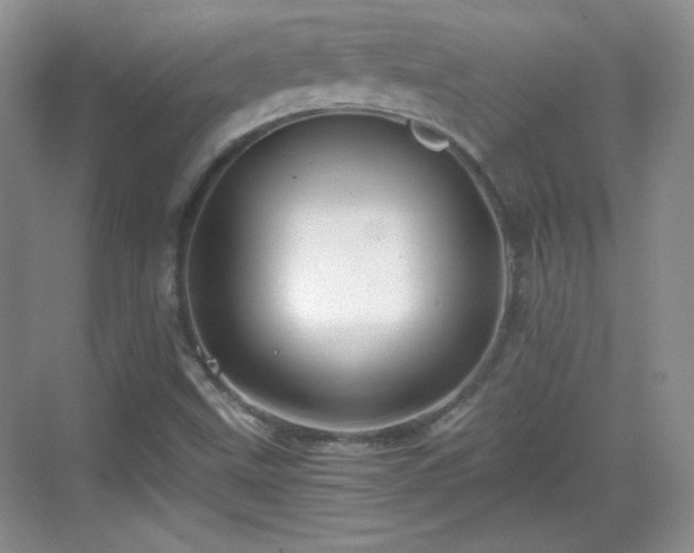 X0000068811499200605081106