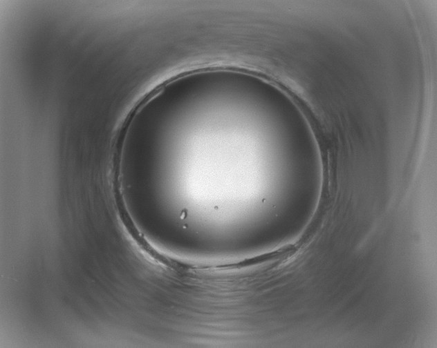 X0000068811500200605081106