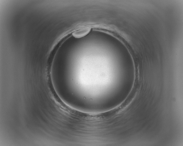 X0000068811501200605081106