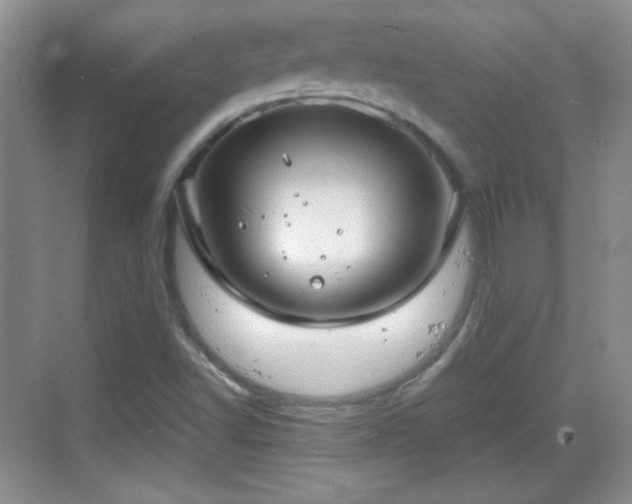 X0000068811502200605081106