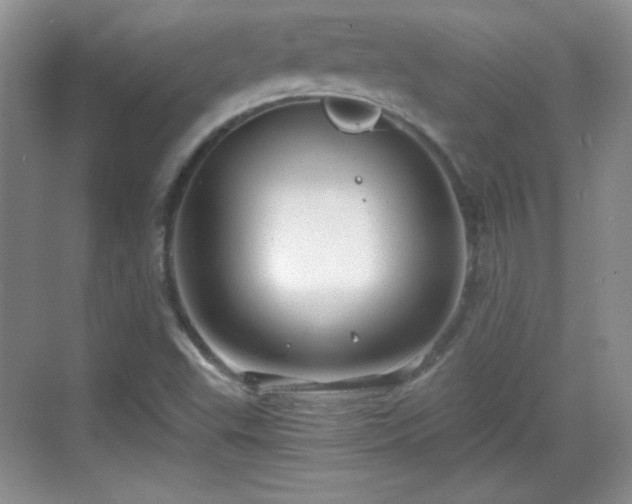 X0000068811503200605081106