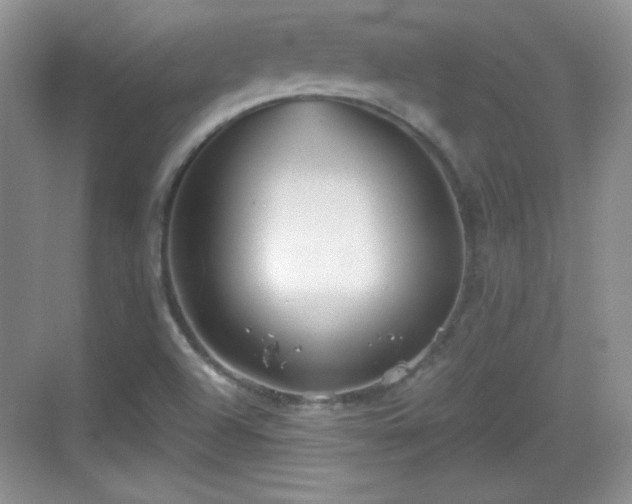 X0000068811504200605081106