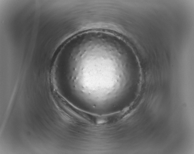 X0000068811505200605081106