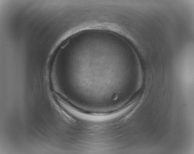 X0000068811506200605081106