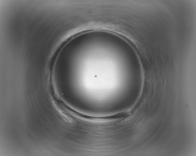 X0000068811507200605081106