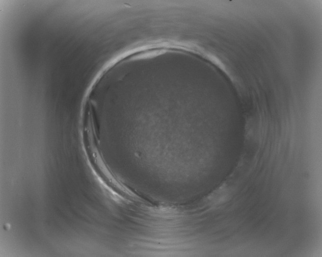 X0000068811508200605081106