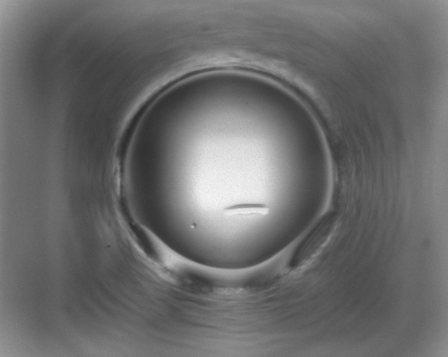 X0000068811509200605081106