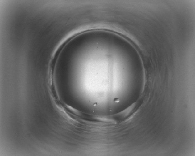 X0000068811510200605081106