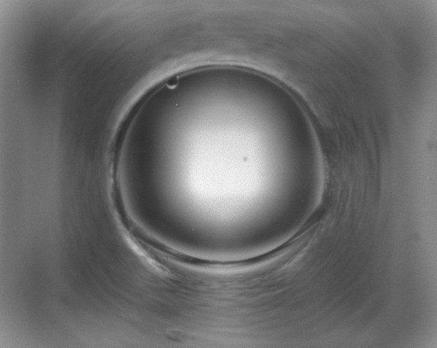 X0000068811511200605081106