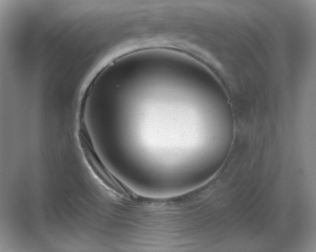 X0000068811512200605081106