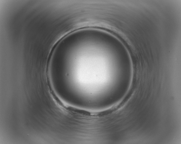 X0000068811513200605081106