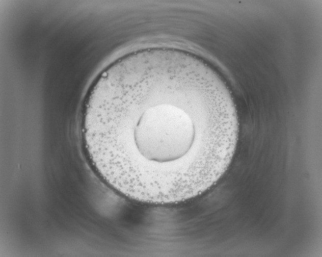 X0000068811514200605081106