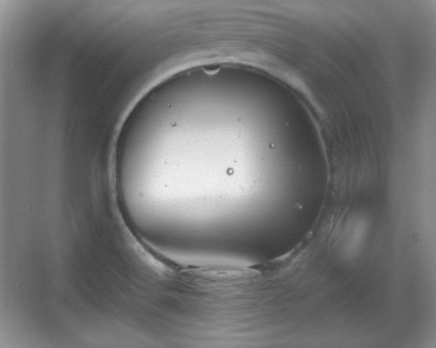 X0000068811516200605081106