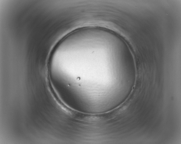 X0000068811517200605081106